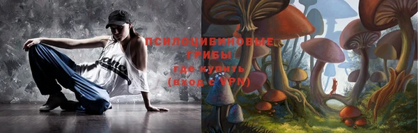 гидра Вязники