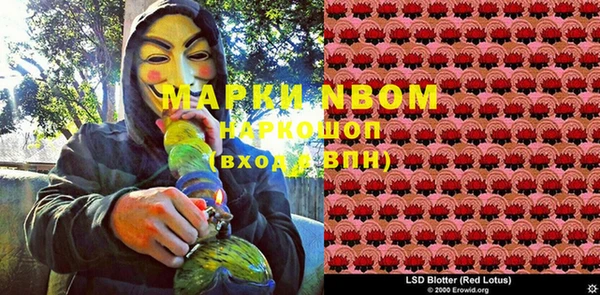 гидра Вязники