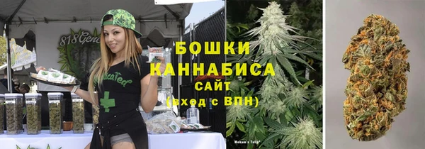 гидра Вязники
