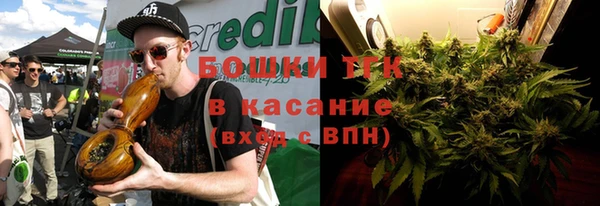 гидра Вязники